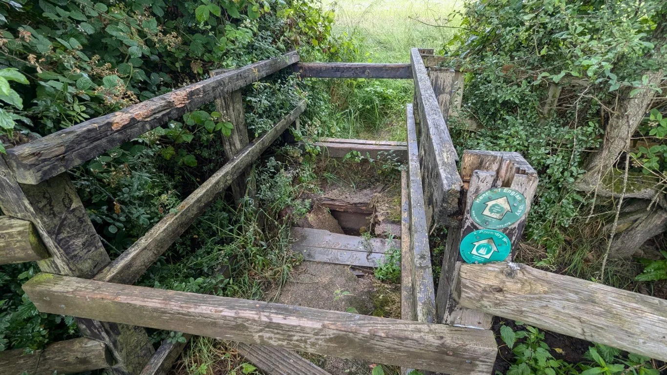 PXL_20240706_094624868 -reduced