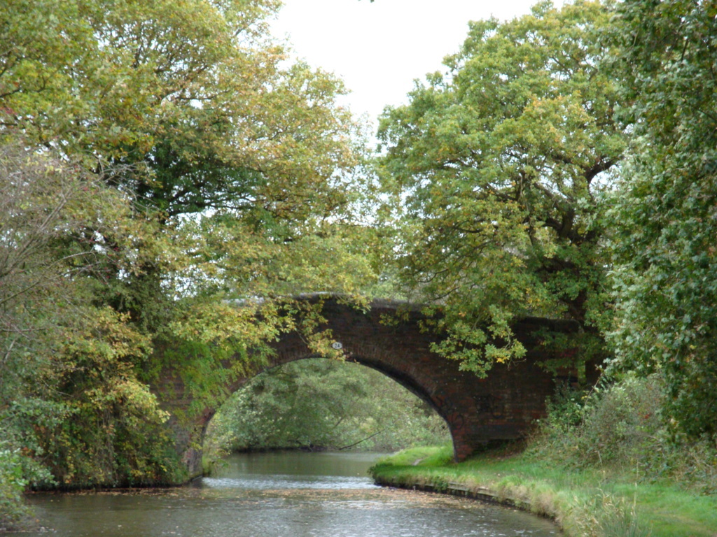Hockley Heath 5 Mile Walk - POSTPONED