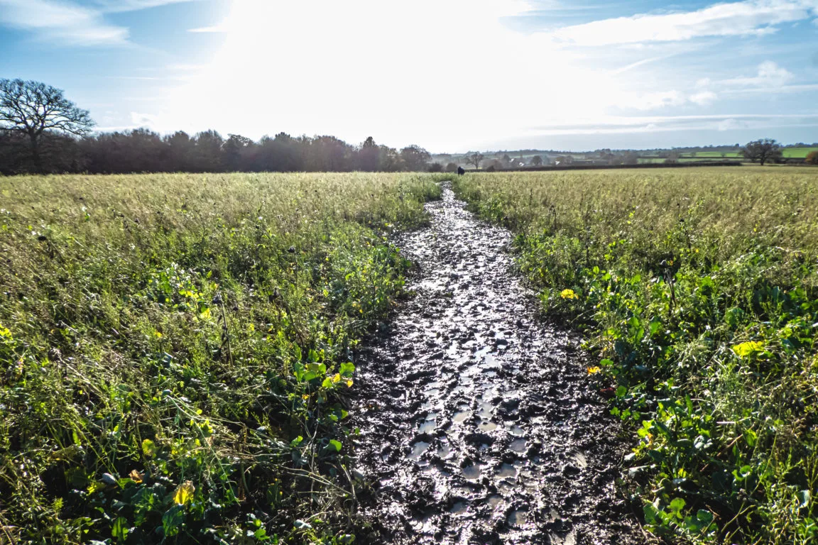 Very muddy path